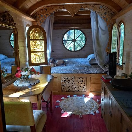 La Roulotte Du Petit Paradis Saint-Rémy-de-Provence Dış mekan fotoğraf