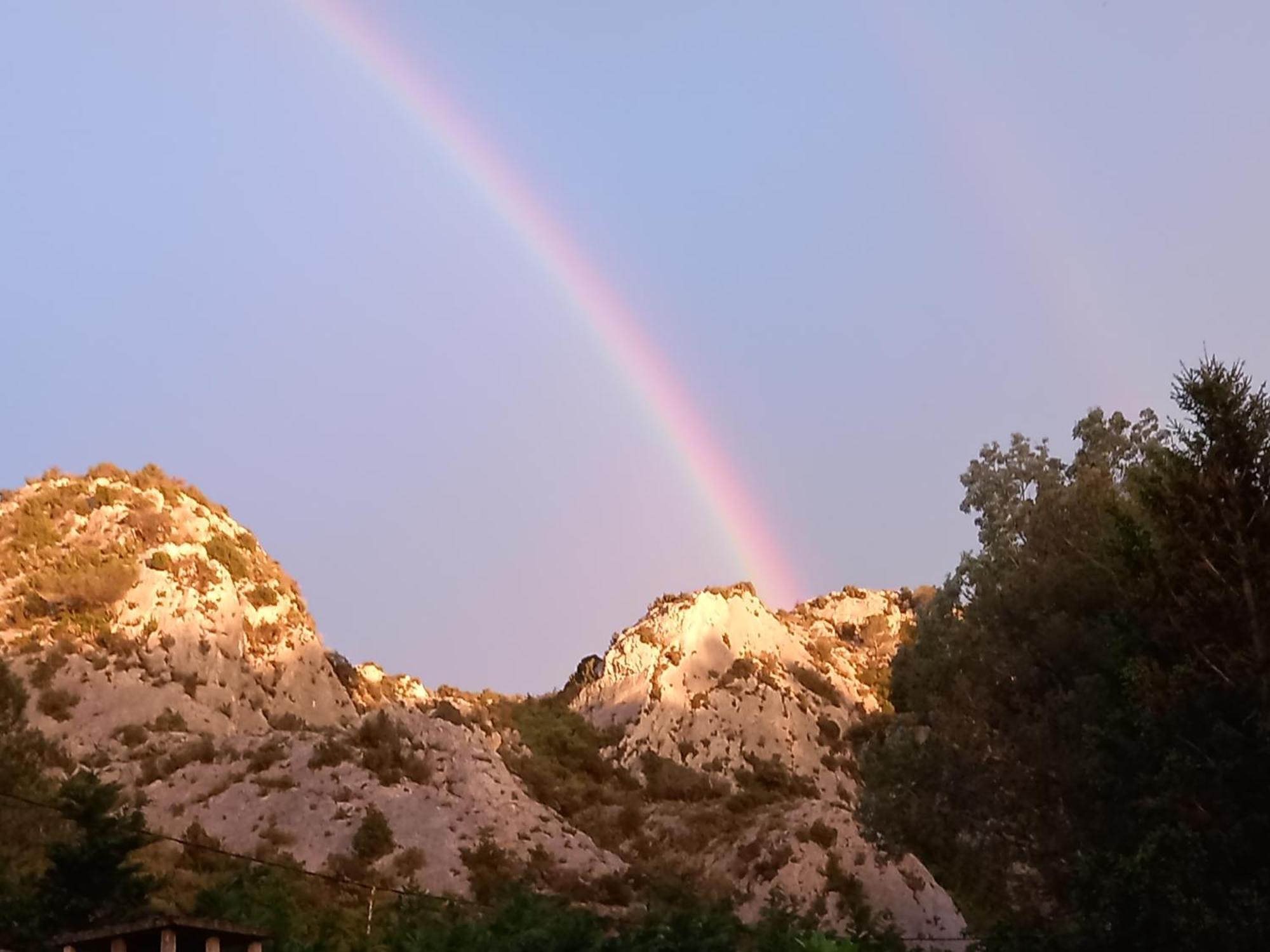 La Roulotte Du Petit Paradis Saint-Rémy-de-Provence Dış mekan fotoğraf
