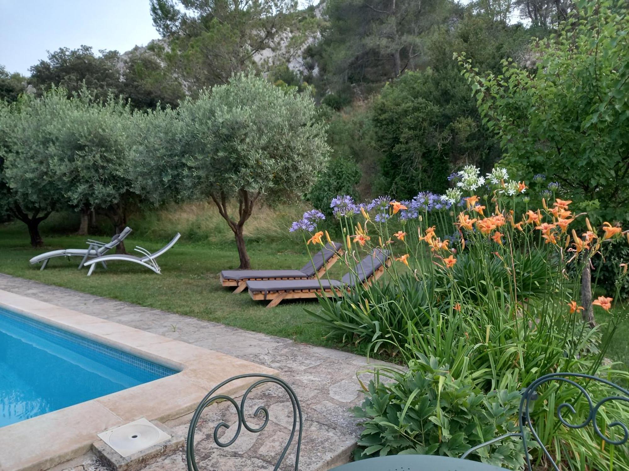 La Roulotte Du Petit Paradis Saint-Rémy-de-Provence Dış mekan fotoğraf