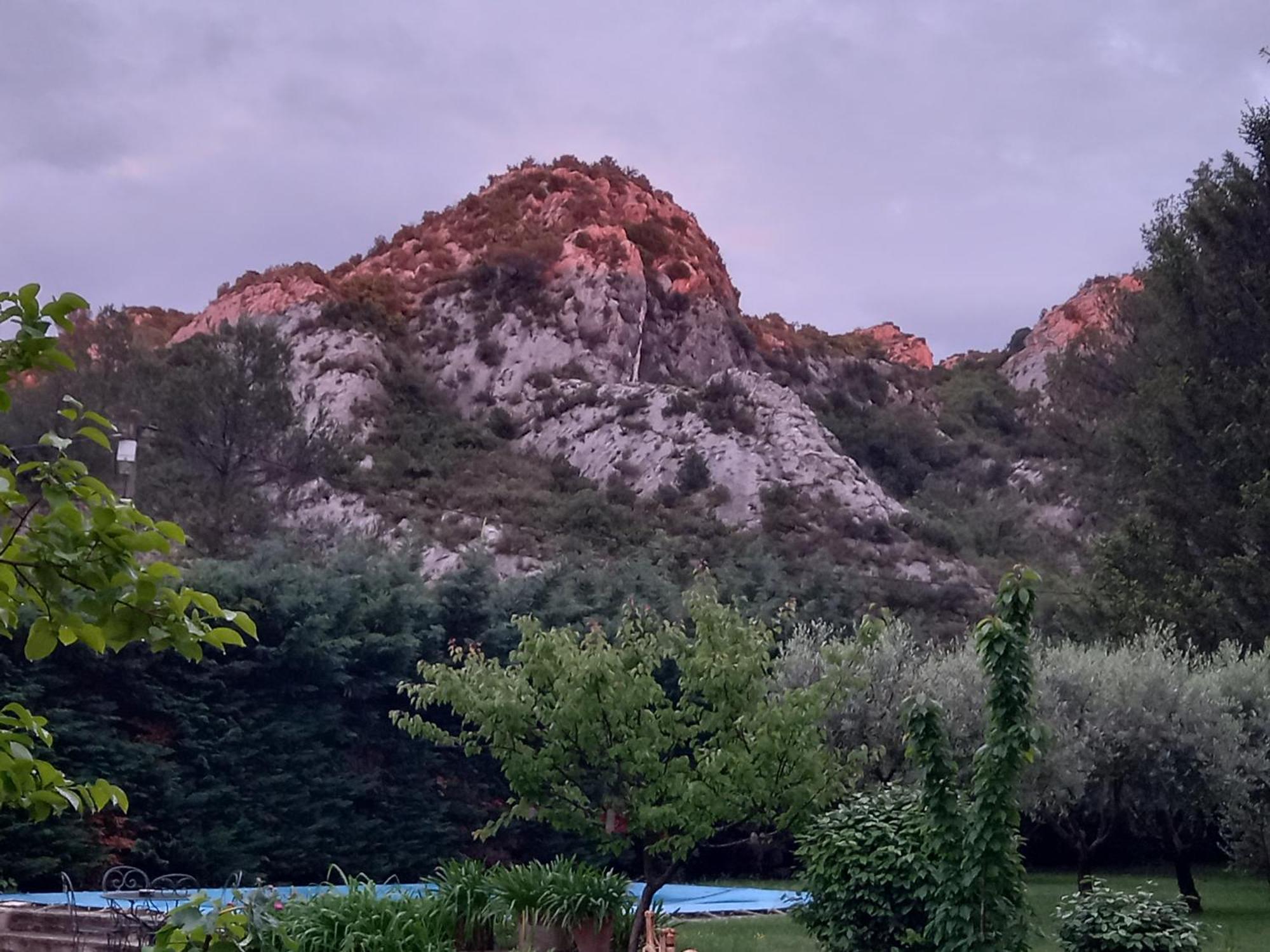 La Roulotte Du Petit Paradis Saint-Rémy-de-Provence Dış mekan fotoğraf