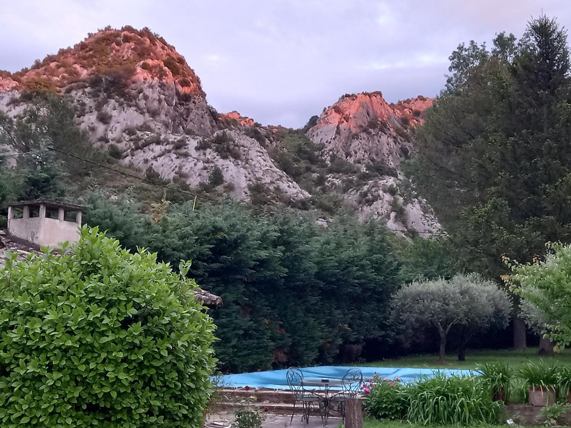La Roulotte Du Petit Paradis Saint-Rémy-de-Provence Dış mekan fotoğraf