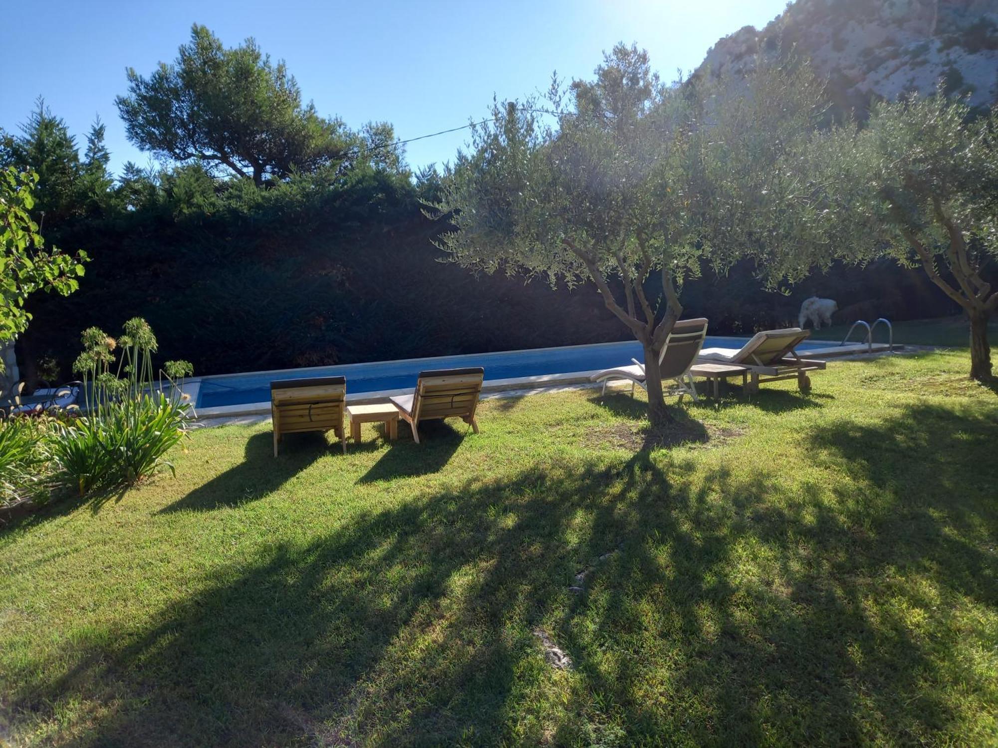 La Roulotte Du Petit Paradis Saint-Rémy-de-Provence Dış mekan fotoğraf