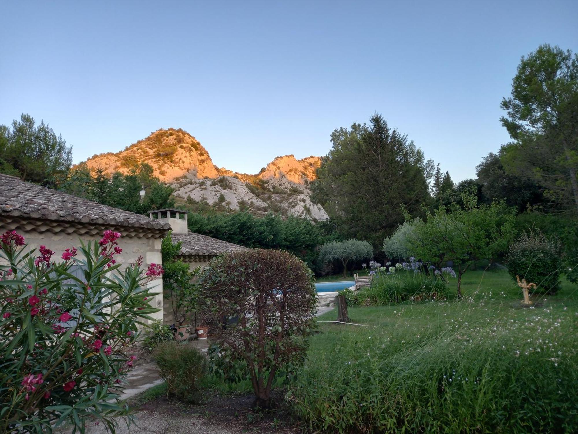La Roulotte Du Petit Paradis Saint-Rémy-de-Provence Dış mekan fotoğraf