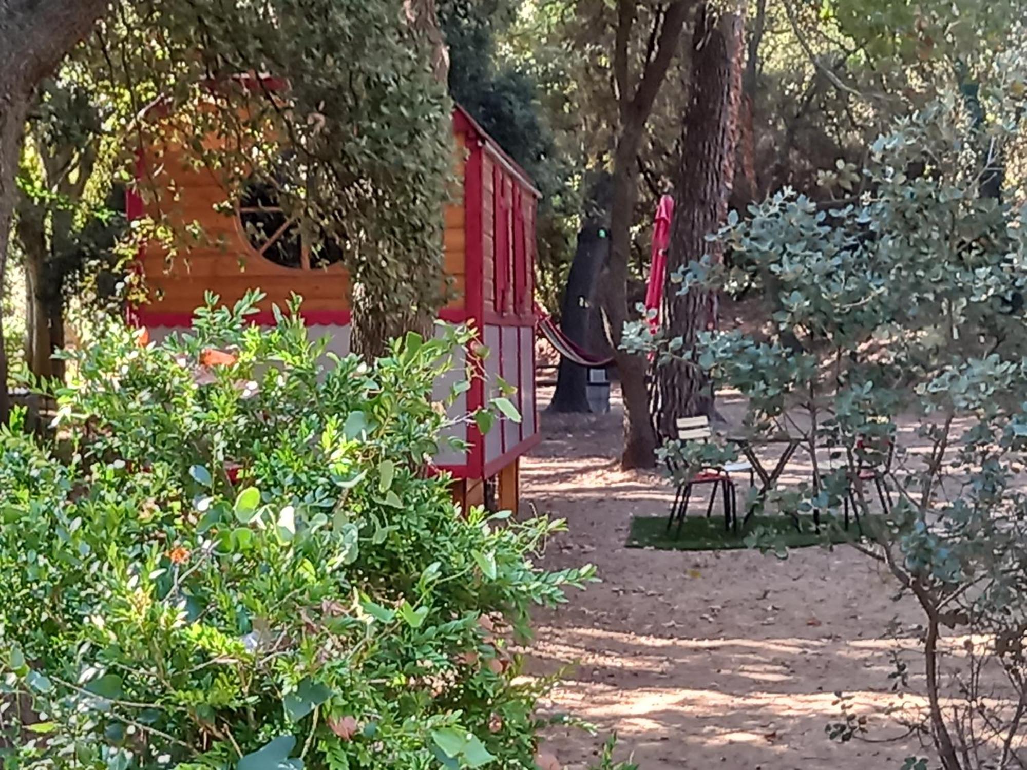 La Roulotte Du Petit Paradis Saint-Rémy-de-Provence Dış mekan fotoğraf