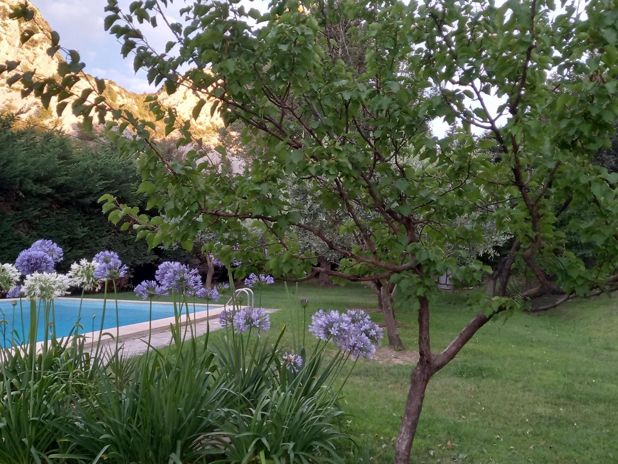 La Roulotte Du Petit Paradis Saint-Rémy-de-Provence Dış mekan fotoğraf